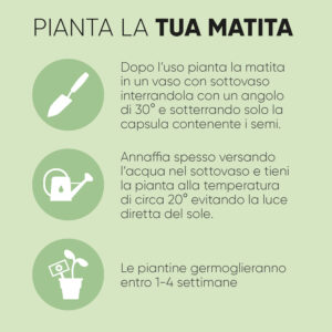 Alternative view of Matite piantabili (semi di margherita)